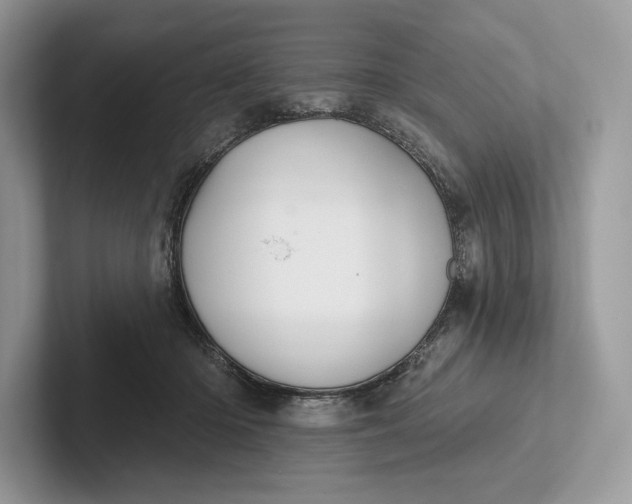 X0000101450414200807211317