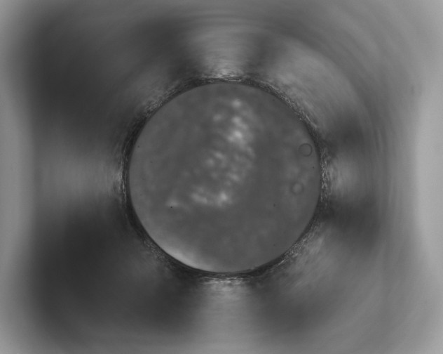 X0000101450415200807211317