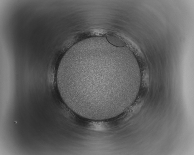 X0000101450417200807211317