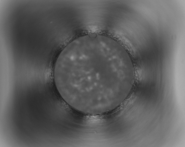 X0000101450419200807211317