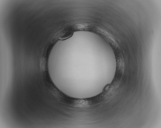 X0000101450421200807211317