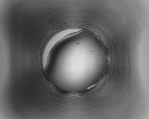 X0000101450423200807211317