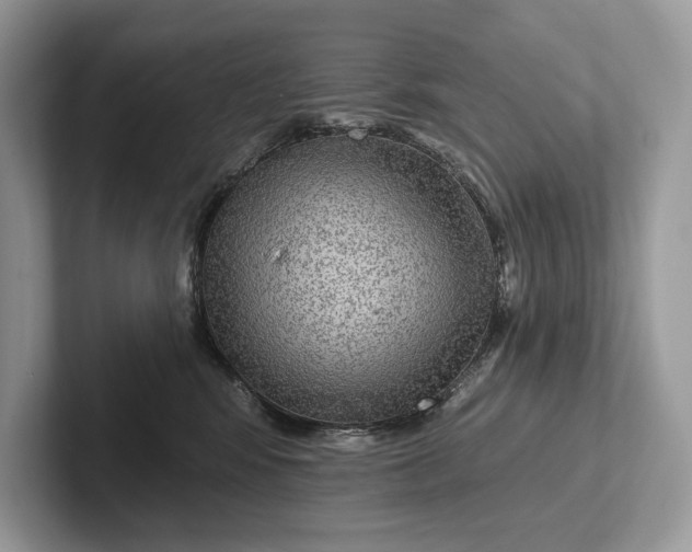 X0000101450424200807211316