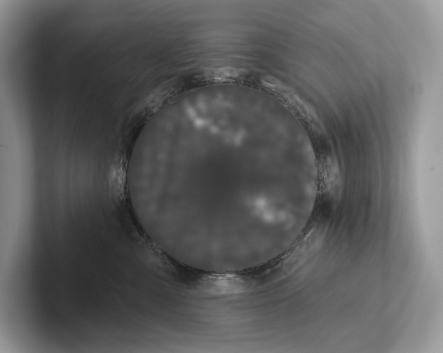 X0000101450427200807211316