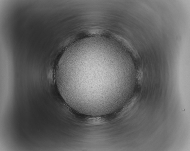 X0000101450428200807211316