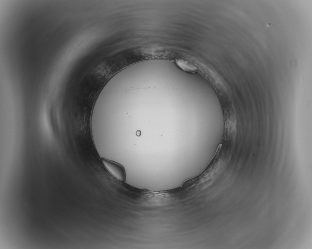 X0000101450429200807211316