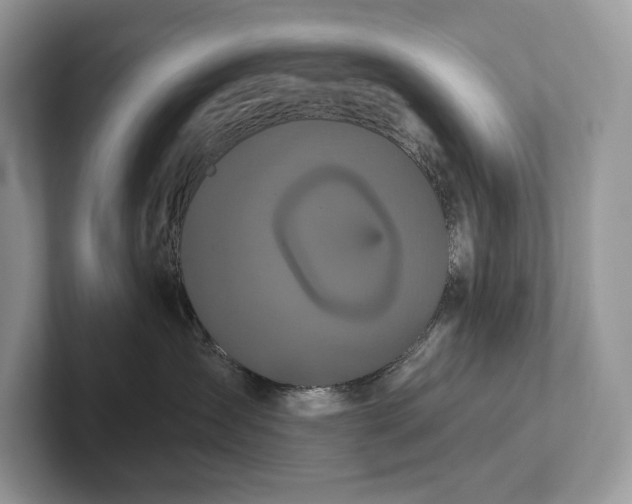 X0000101450431200807211316