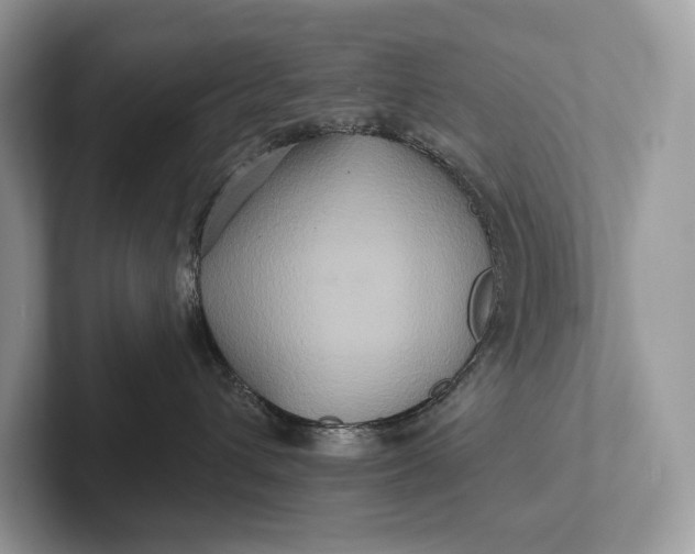 X0000101450432200807211316