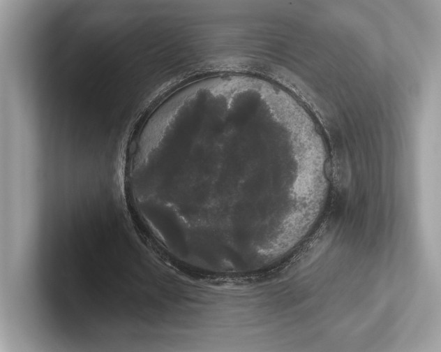 X0000101450434200807211316