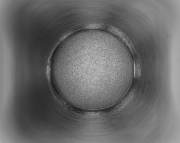 X0000101450435200807211316