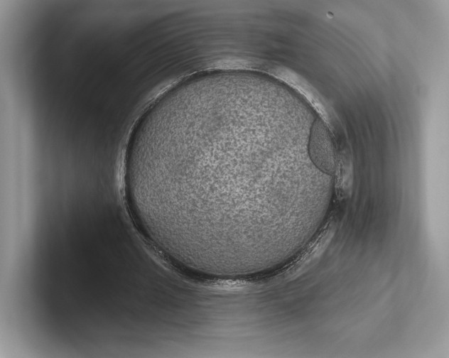 X0000101450437200807211316