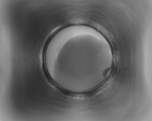 X0000101450438200807211316