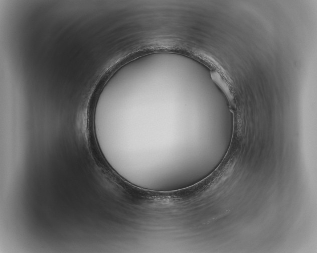 X0000101450439200807211316