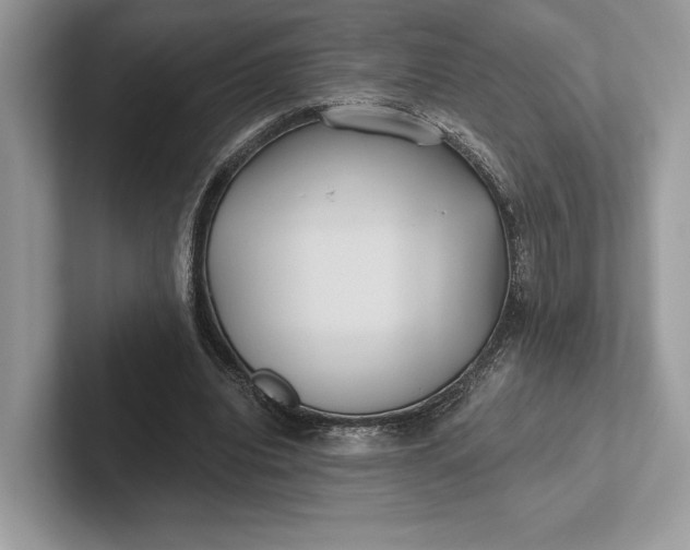 X0000101450440200807211316