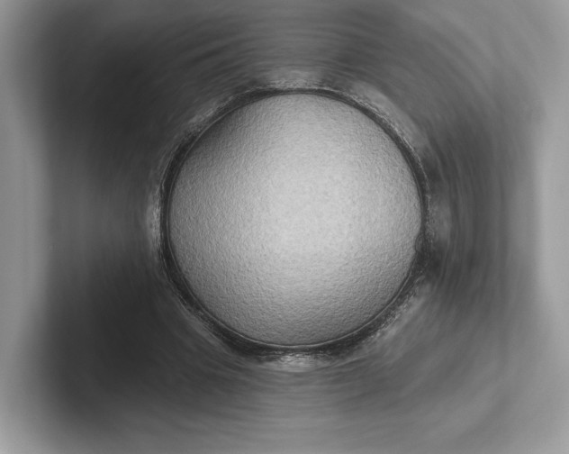 X0000101450441200807211316