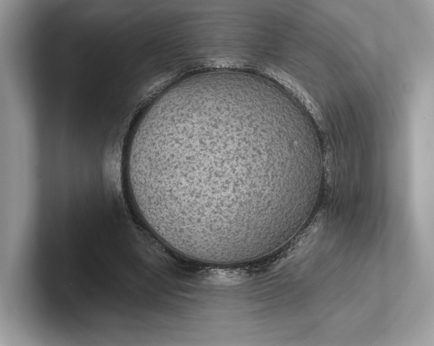 X0000101450442200807211316