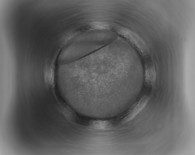 X0000101450444200807211316