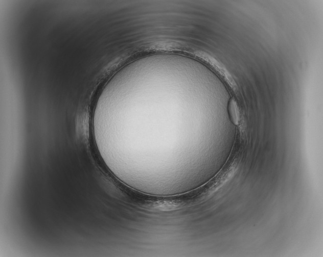 X0000101450445200807211316