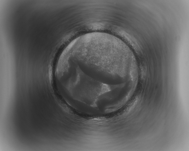 X0000101450447200807211316