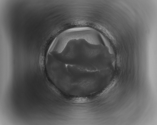 X0000101450449200807211316