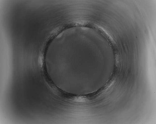 X0000101450451200807211316