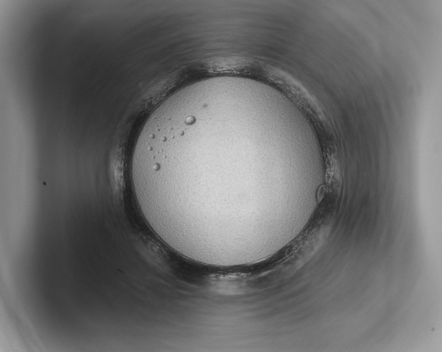 X0000101450452200807211316