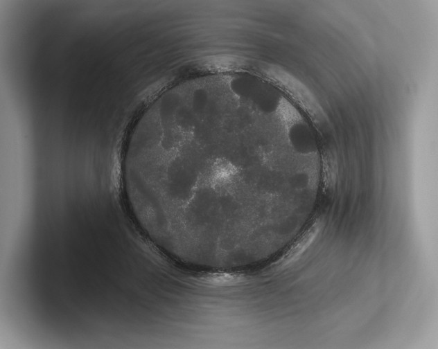 X0000101450453200807211316