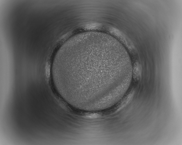 X0000101450454200807211316