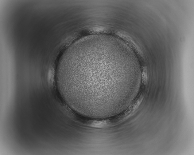 X0000101450458200807211316