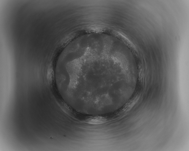 X0000101450459200807211316