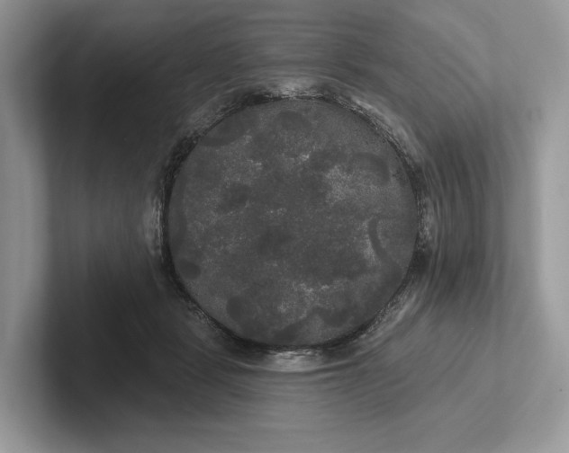 X0000101450461200807211316