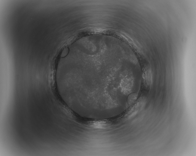 X0000101450462200807211316