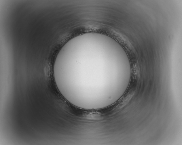 X0000101450463200807211316