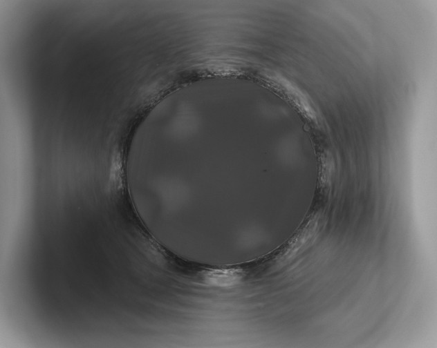 X0000101450465200807211316