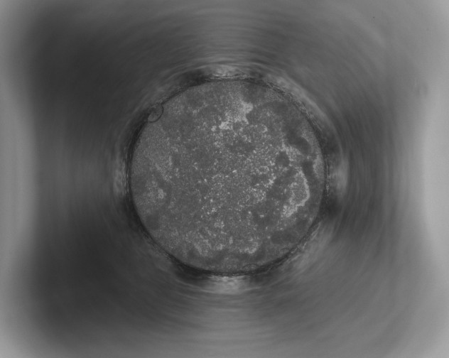 X0000101450469200807211316