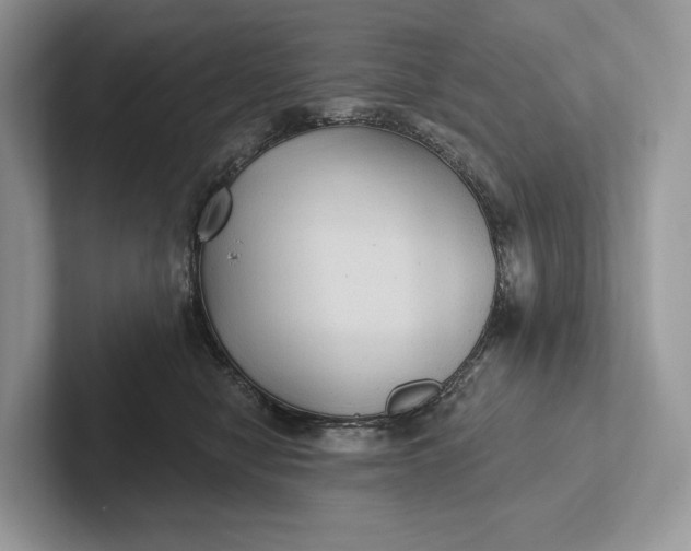 X0000101450470200807211316