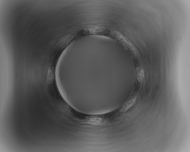 X0000101450471200807211316