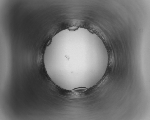 X0000101450473200807211316