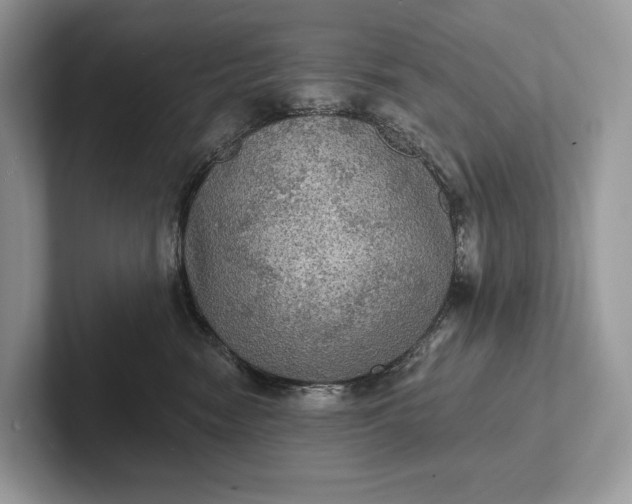 X0000101450474200807211316