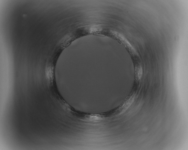 X0000101450475200807211316