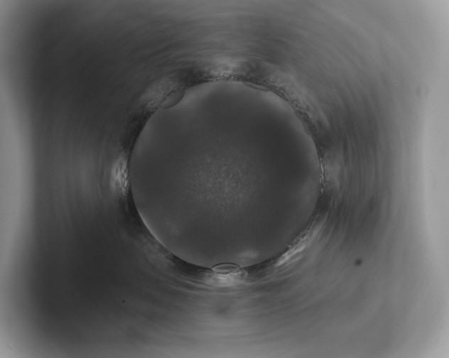 X0000101450479200807211316