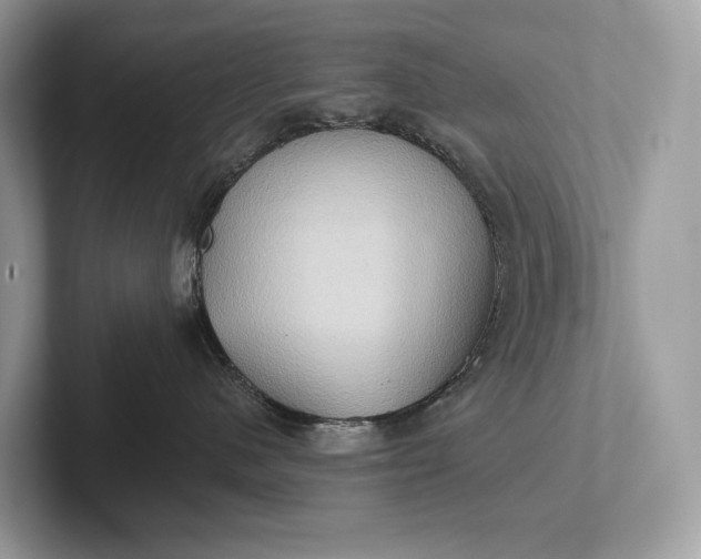 X0000101450480200807211316