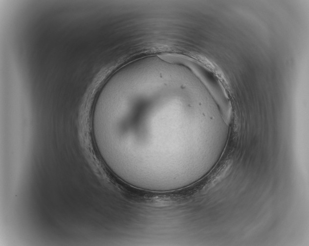 X0000101450481200807211316