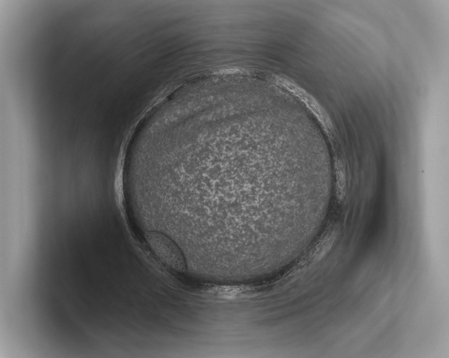 X0000101450482200807211316