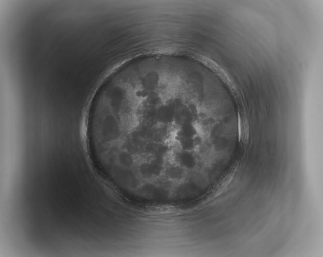 X0000101450483200807211316