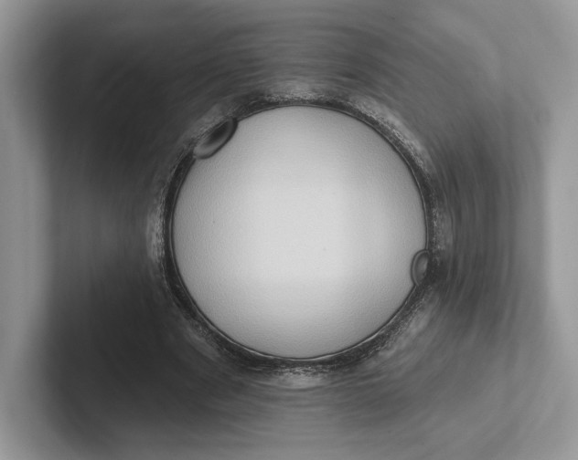 X0000101450489200807211316