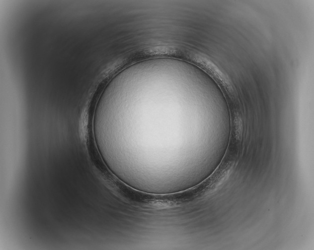 X0000101450490200807211316