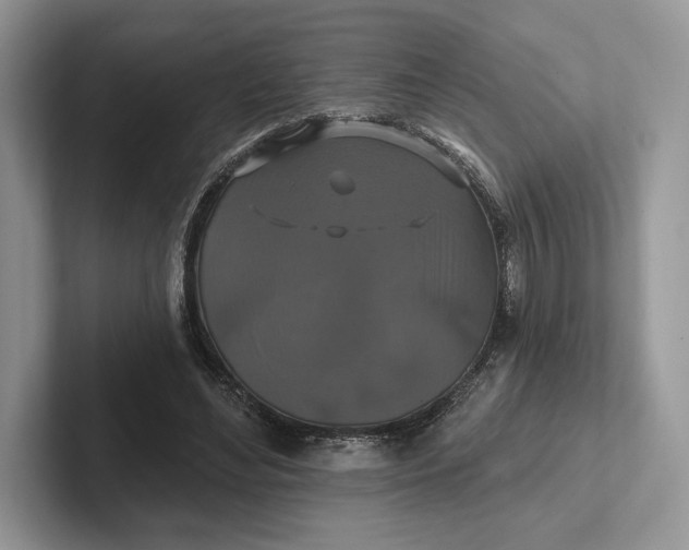 X0000101450492200807211316