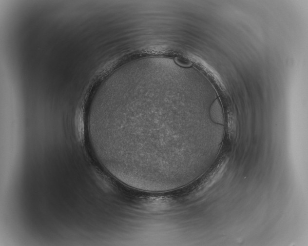 X0000101450493200807211316