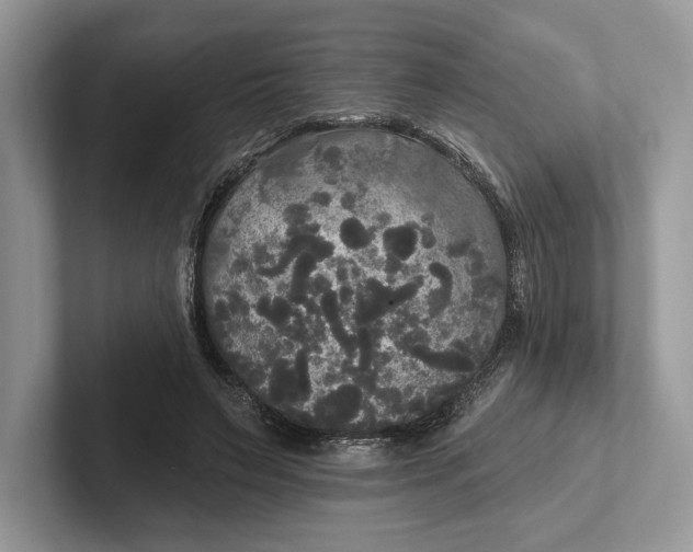 X0000101450495200807211316